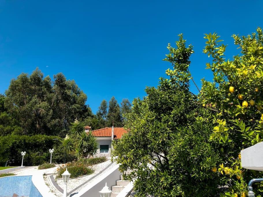 Maison Familiale De Caractere Avec Piscine Padronelo Exterior foto